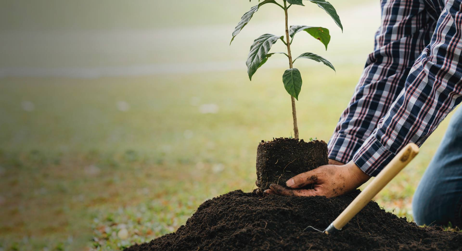 planting-a-tree-close-up-on-young-man-planting-th-2026-01-07-00-29-25-utc_1